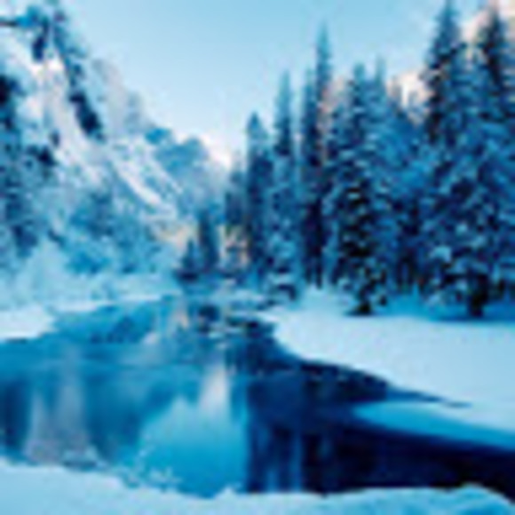 Meet your Posher, Kaiden - Picture 1 of 1